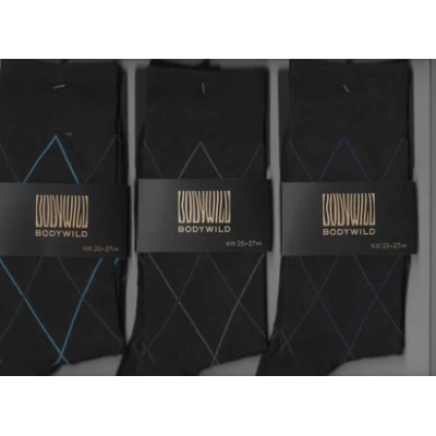 Носки мужские серые BODY WILD BDW084_783